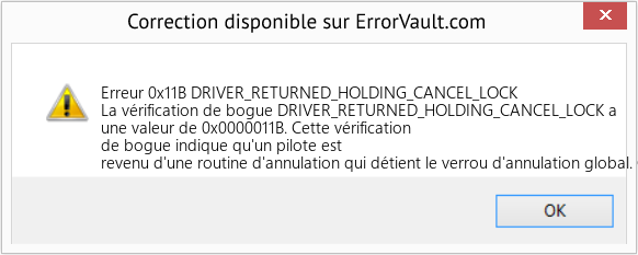 Fix DRIVER_RETURNED_HOLDING_CANCEL_LOCK (Error Erreur 0x11B)