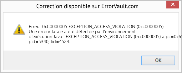 Fix EXCEPTION_ACCESS_VIOLATION (0xc0000005) (Error Erreur 0xC0000005)