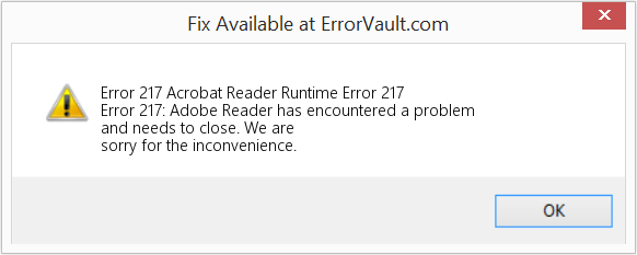 Acrobat Reader 런타임 오류 217 수정(오류 오류 217)