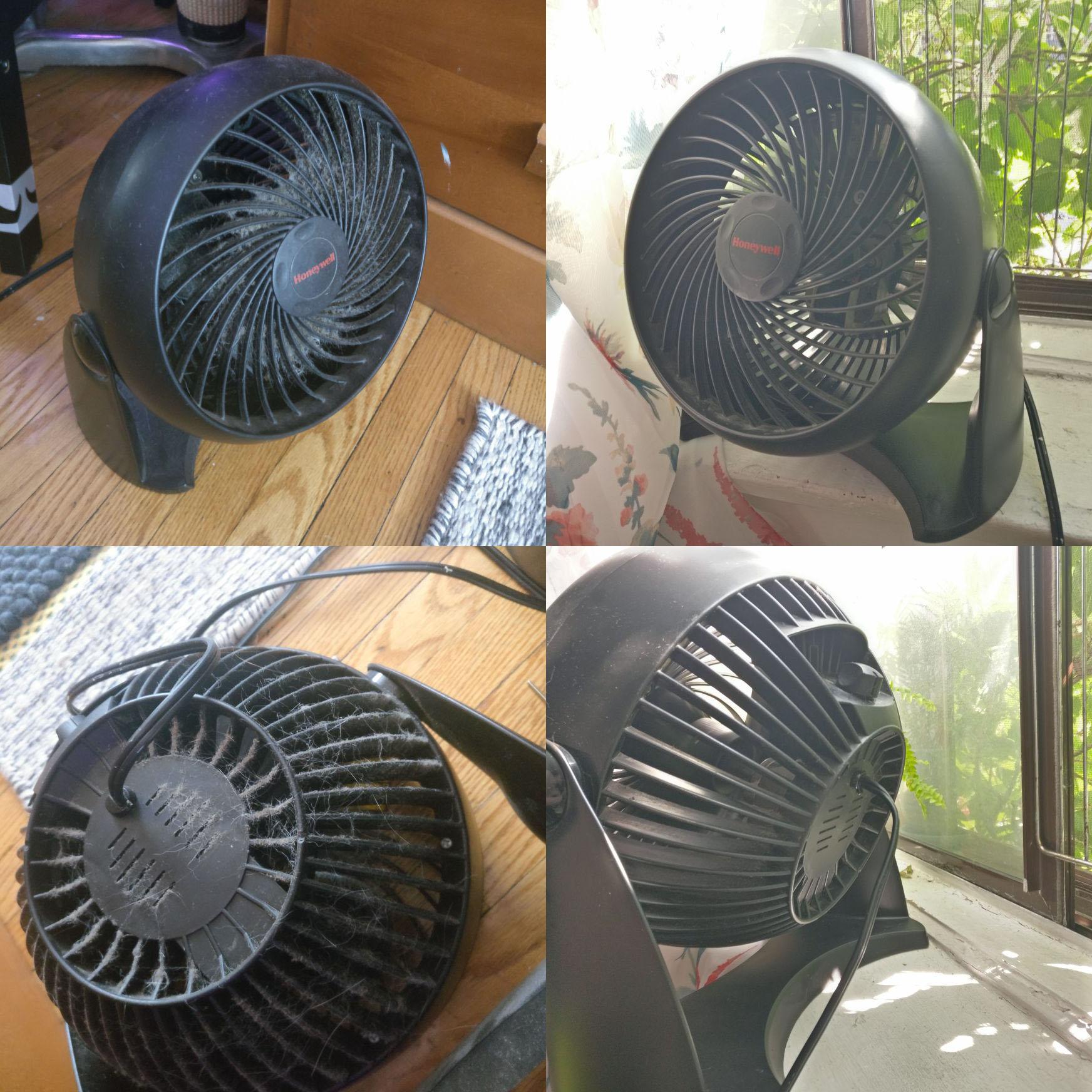 Clean the fan and surrounding components using compressed air
Replace the fan if bearing issues persist