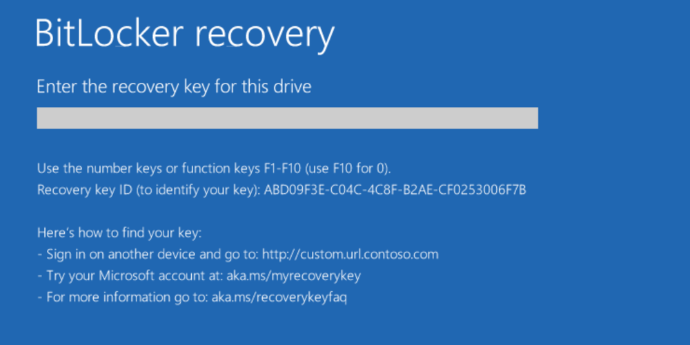 Locate the recovery password
Enter the recovery password manually during the BitLocker recovery process